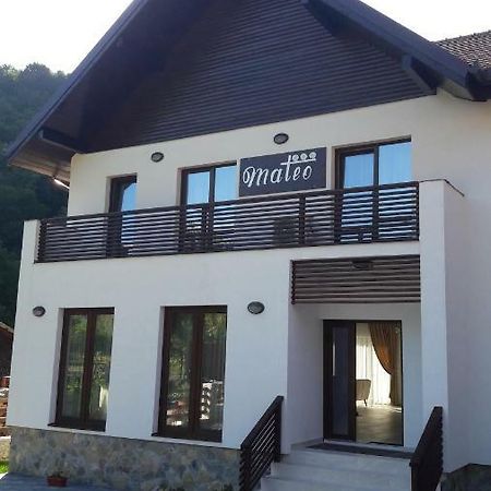 Hotel Mateo Transalpina à Săsciori Extérieur photo