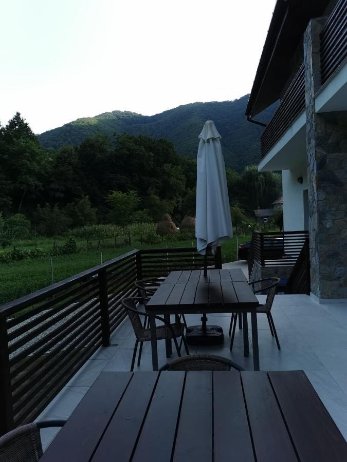 Hotel Mateo Transalpina à Săsciori Extérieur photo