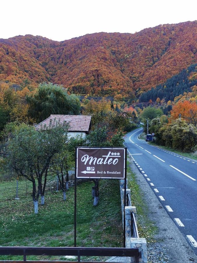Hotel Mateo Transalpina à Săsciori Extérieur photo