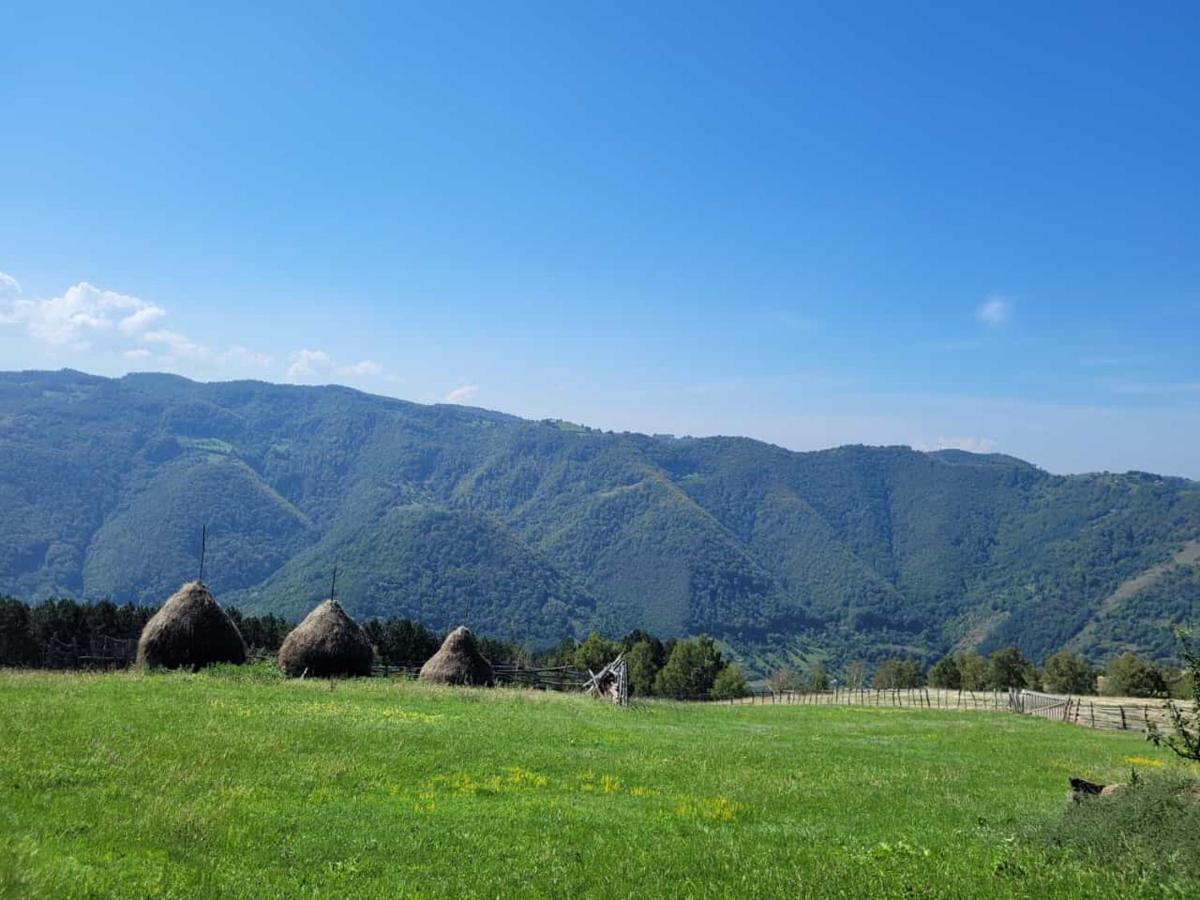 Hotel Mateo Transalpina à Săsciori Extérieur photo